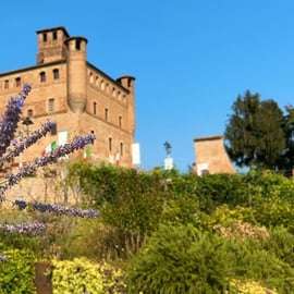 Vanuit Milaan: Barolo wijnproeverij, Alba tour en kasteelbezoek