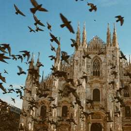 Führung im Dom Mailand: 45 Minuten, Dachterrassen optional