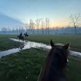 Lombardy: Horseback Riding in Nature at Scuderia Groane