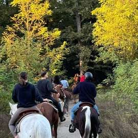 Lombardy: Horseback Riding in Nature at Scuderia Groane