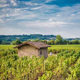 Mailand: Tagestour zum Weingut Franciacorta und Bergamo mit Mittagessen