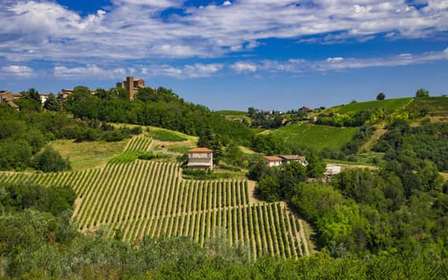 Weinprobe im Oltrepò Pavese ab Mailand mit Mittagessen