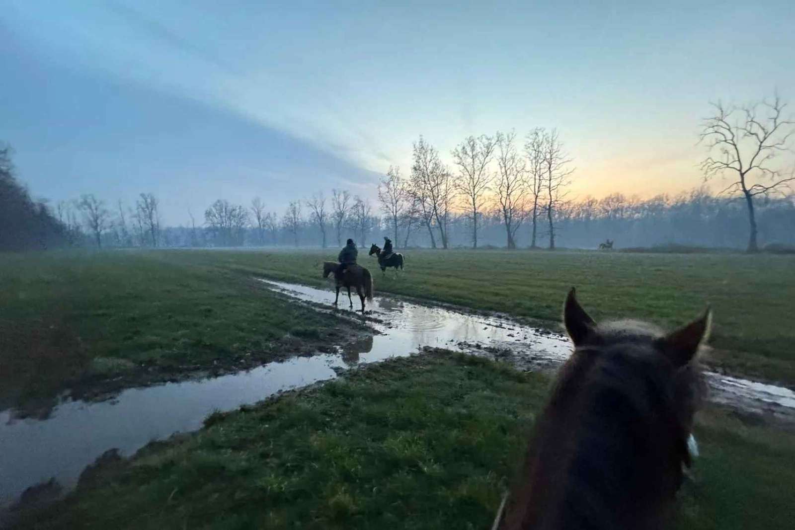 Lombardy: Horseback Riding in Nature at Scuderia Groane