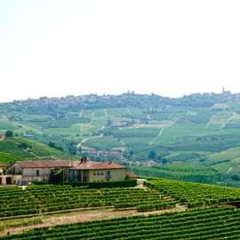 Vanuit Milaan: Barolo wijnproeverij, Alba tour en kasteelbezoek