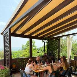 Oltrepò Pavese Wine Tasting from Milan with Vineyard Lunch