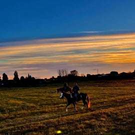 Lombardy: Horseback Riding in Nature at Scuderia Groane