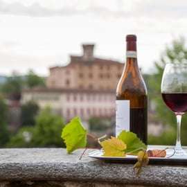 Vanuit Milaan: Barolo wijnproeverij, Alba tour en kasteelbezoek