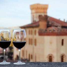 Excursion vignobles du Barolo depuis Milan, cave et dégustation