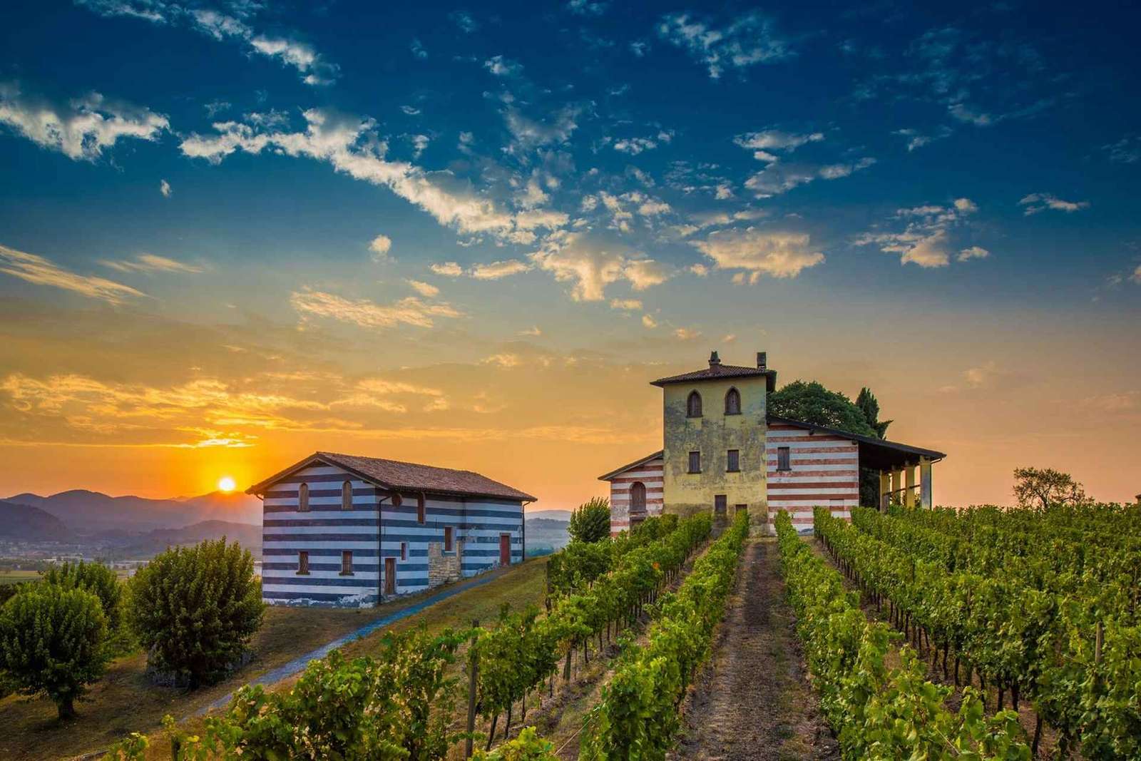 Mailand: Tagestour zum Weingut Franciacorta und Bergamo mit Mittagessen