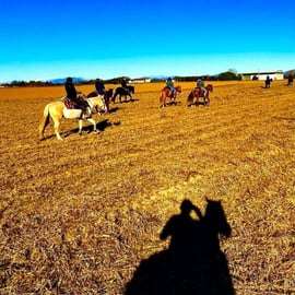 Lombardy: Horseback Riding in Nature at Scuderia Groane