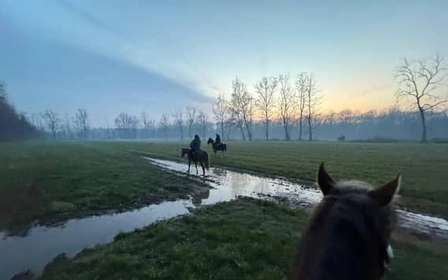Lombardei: Ausritt in der Natur in der Scuderia Groane